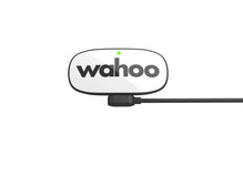 WAHOO TRACKR HEART RATE 心跳感應器