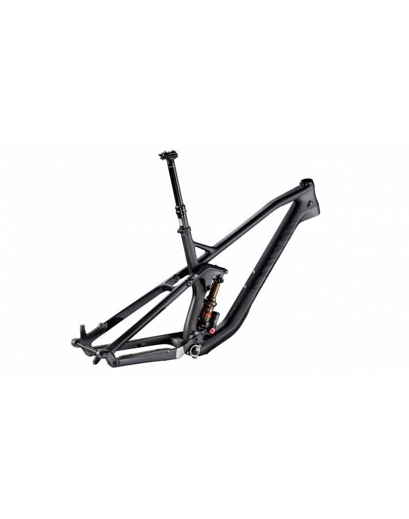 Canyon discount strive frame